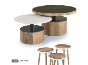 259-LAREX 3 L� SET